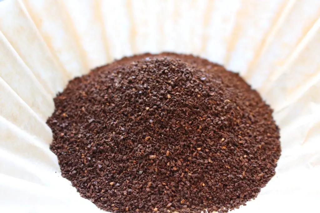 Are Coffee Grounds Good for Tomato Plants?