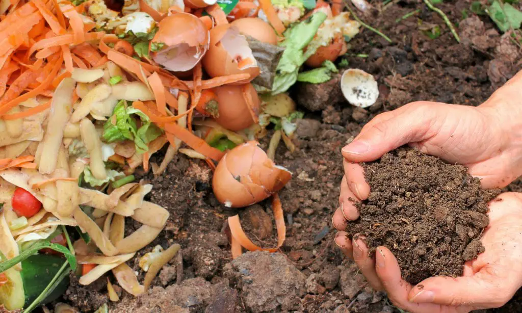 can you compost bread