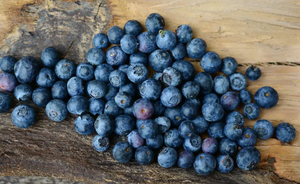 do blueberries have seeds