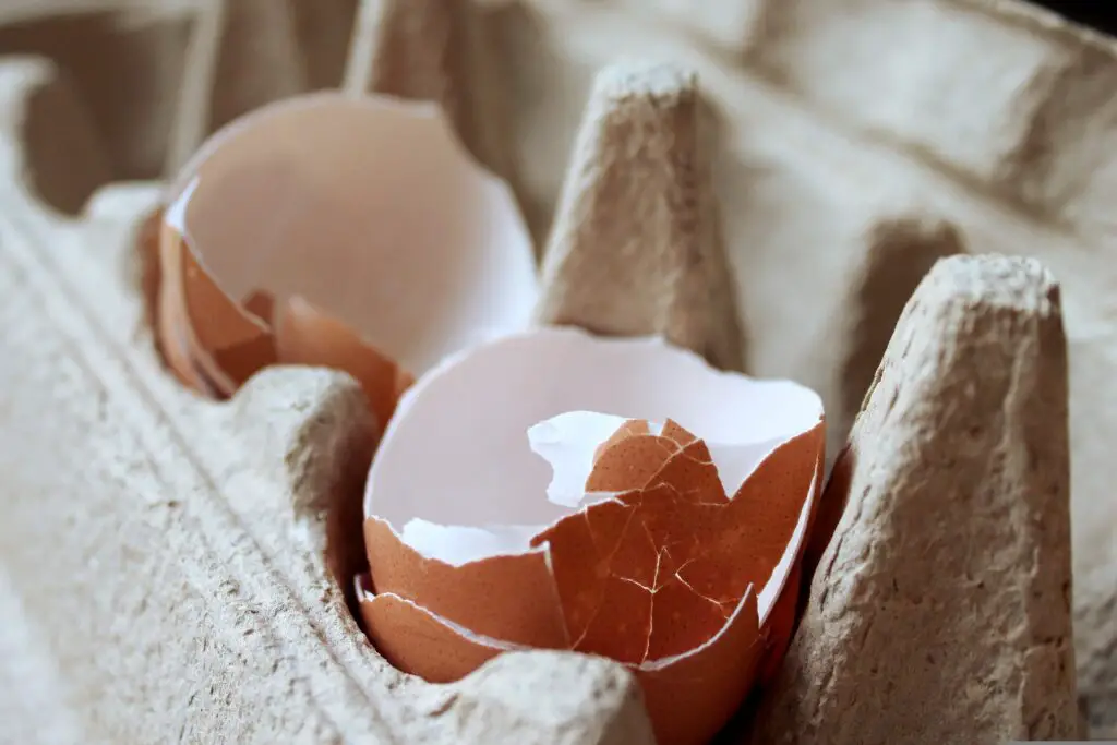 can you add eggshells to compost